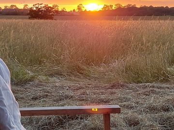 Sundowners from the field