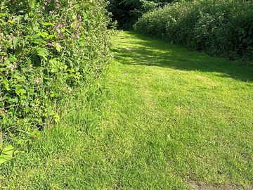 Walk path