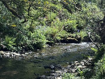 Stream on site