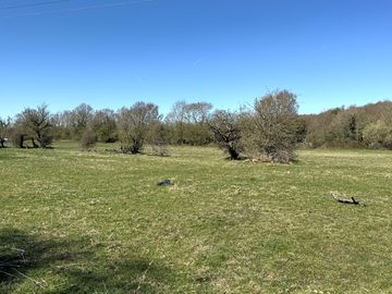 Large field with shelter and safely fenced off from the river