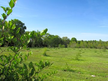 A big orchard adds life and colour to this campground