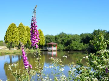 Pagoda lake