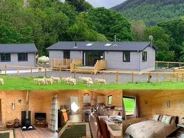 Smiddy hill lodge, interiors and forest backdrop