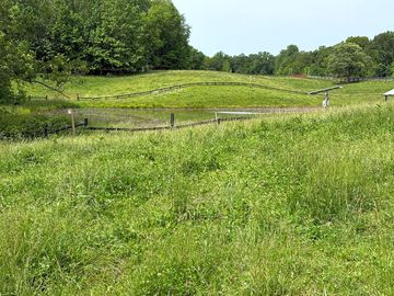 Powered site near the pond