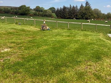 Views from the electric grass motorhome pitch