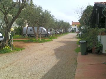 Path through the pitches