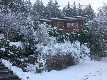A snowy winter's day