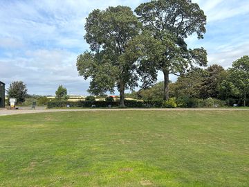 Grass pitch