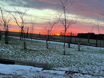 Winter sunset