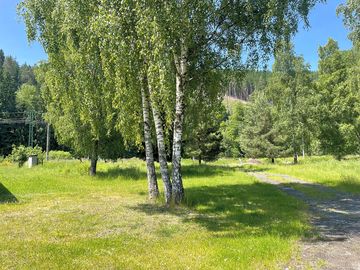 Shaded grassy pitches