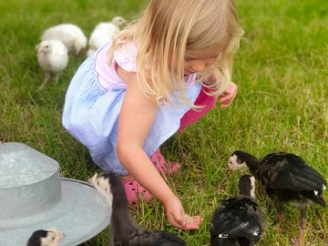 Meeting and feeding the animals