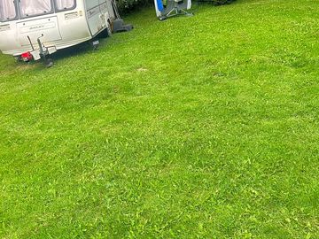 Grass pitches sheltered by trees