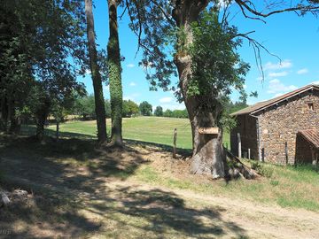 View of the surroundings