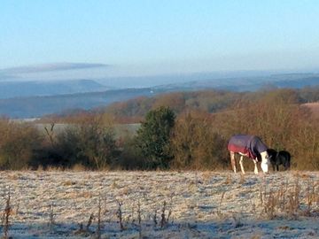Misty morning view