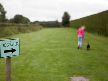 Start of the dog walk area