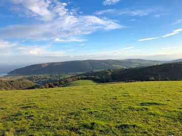 Farm views