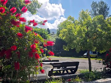 Picnic benches and colourful blooms