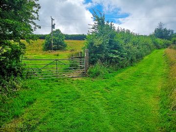 Mown paths around strawberry hill