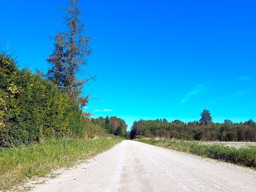 Access road