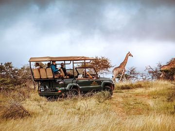 Activities: game drives