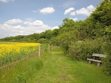 The mown walk leads around the farm
