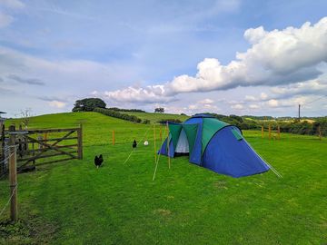 Camping field