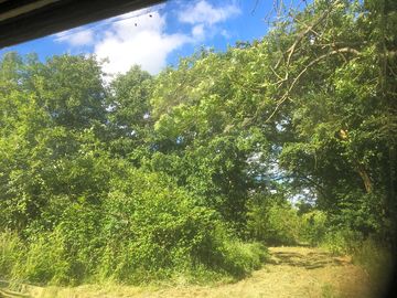 Room with a view