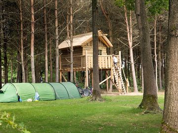 Kampeerplaats met boomhut