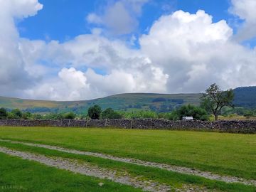 Hollins cross
