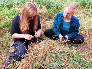 Hike forests, lakes and streams to explore