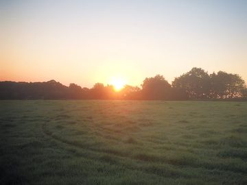 Sunrise on site