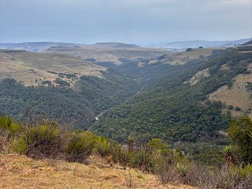 Meandering river in the valley