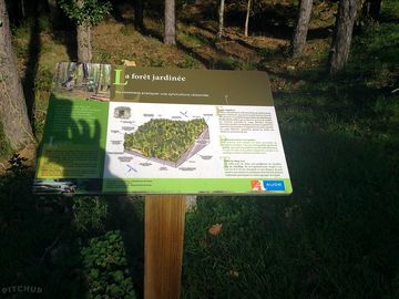 Direct access to signed forest walks