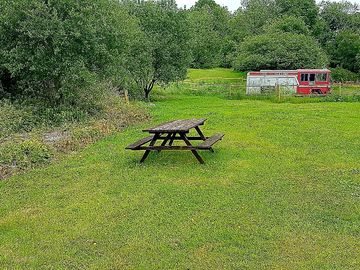 A spot for a picnic