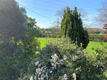 Rural site surrounded by greenery