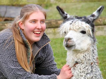 Alpaca experiences @ strawfields. a fun, hands-on alpaca adventure – exclusively for our guests