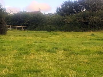 Grassy pitches