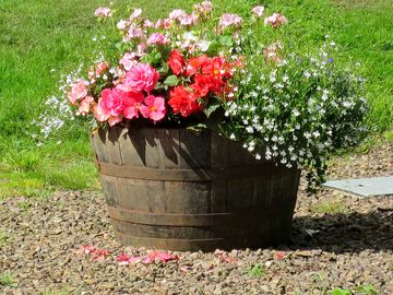 Lots of tubs and flowers