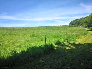 Scenery around the farm