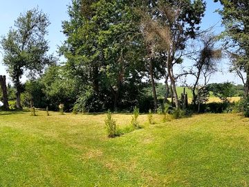Grass pitches