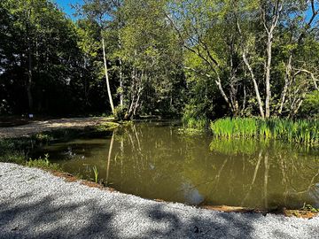 Lake around campsite
