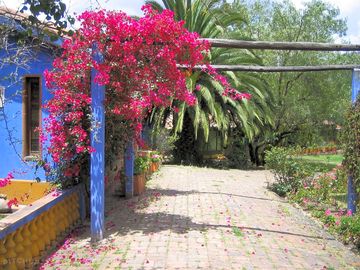 Gardens