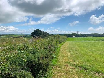 The site