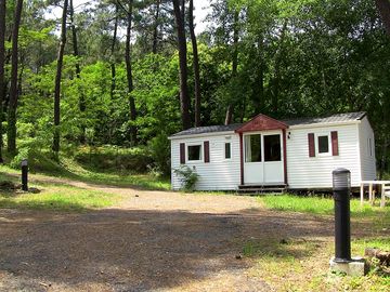 Static caravan in the woods
