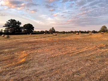 The camping field after harvest