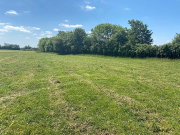 Grassy areas