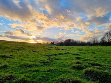 Spacious grassy pitches
