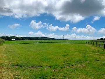 The site