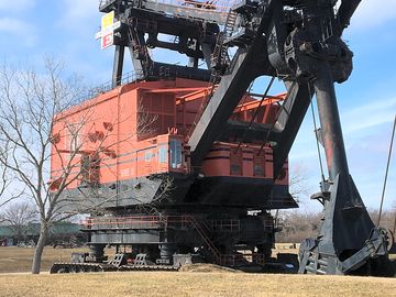 Brutus from the front