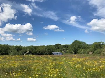 Rural view